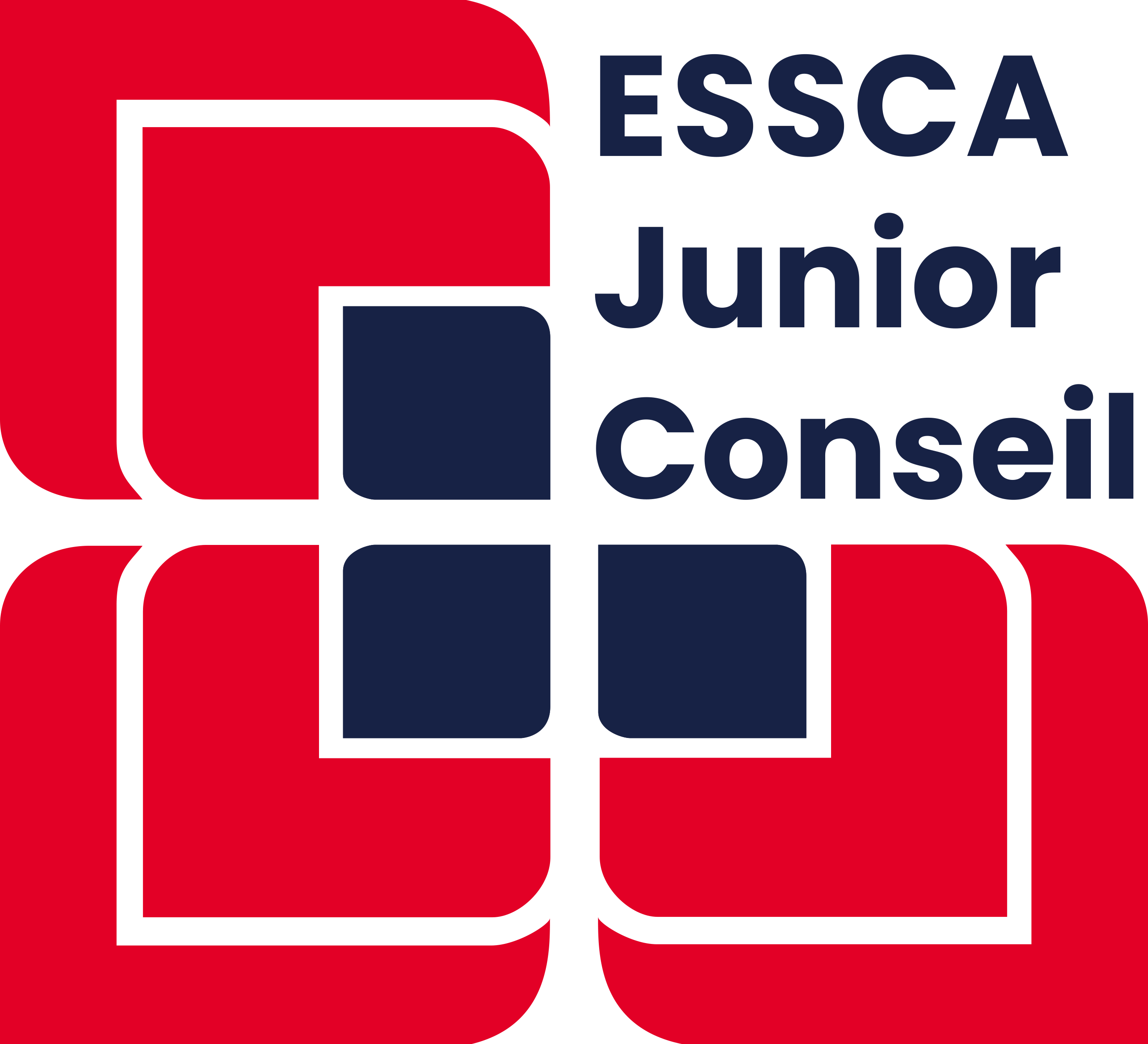ESSCA Junior Conseil, la première Junior-Entreprise spécialisée dans les études de marché 