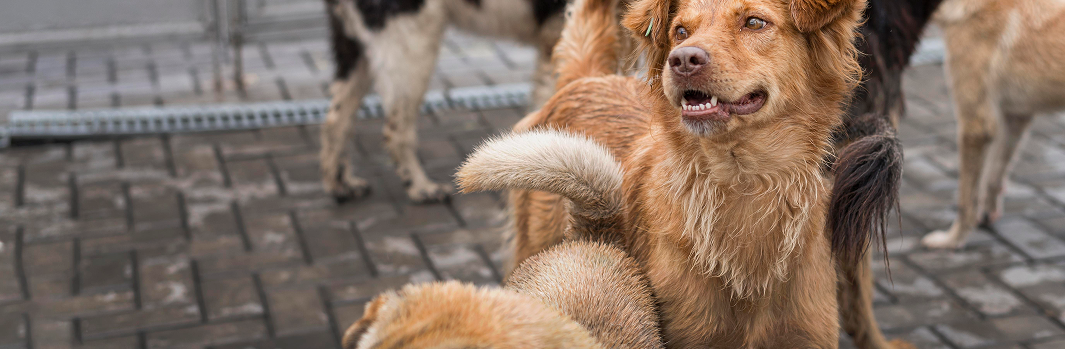Stratégie de communication digitale pour améliorer la visibilité et l'attractivité commerciale