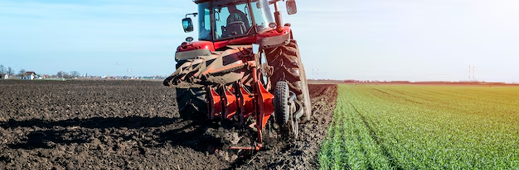 Étude de marché sur les attentes des consommateurs en viande bovine durable et de qualité