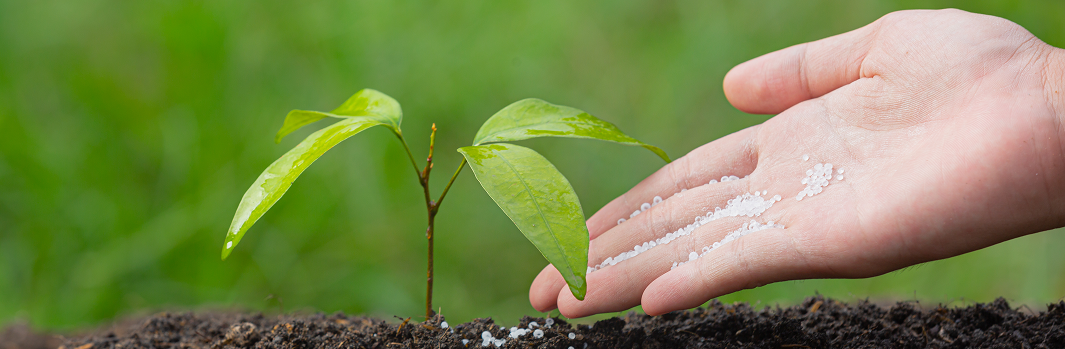 Étudier la structuration et les besoins du vrac bio