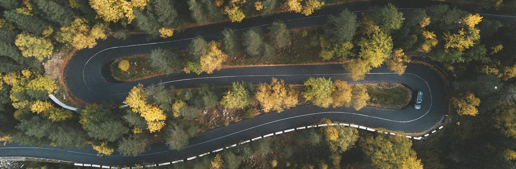 Étude de marché sur la location de véhicules invendus