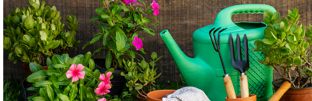 Étude de Marché pour le Développement d'Étiquettes Chromo Durables dans la Filière Horticole