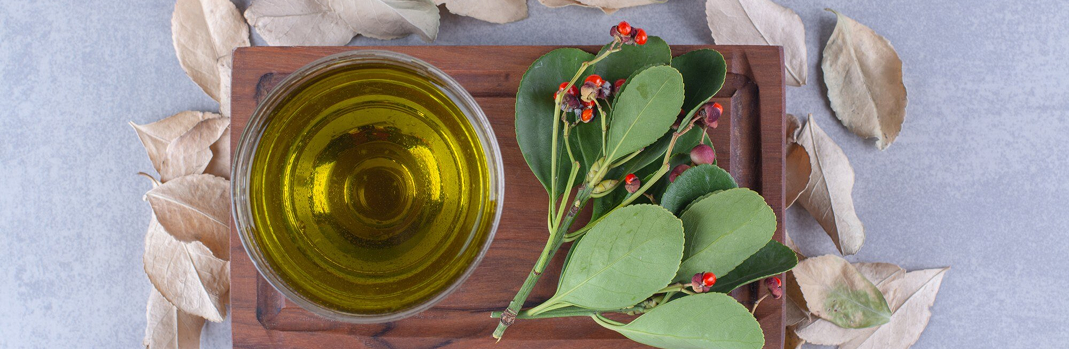 Étude de marché sur les produits d'huile de Moringa