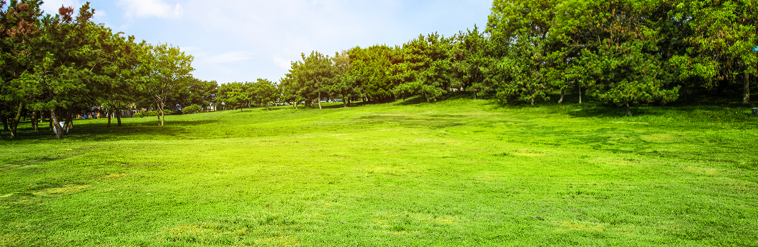 Étude de marché permettant d'identifier les besoins et les attentes des consommateurs 